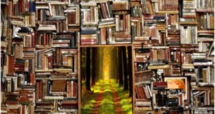 Your Topics Multiple Stories