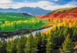 5 Key Benefits of Using GIS Services in Utah for Forestry Projects