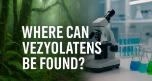 Where Can Vezyolatens Be Found